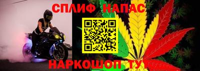 мяу мяу мука Малгобек