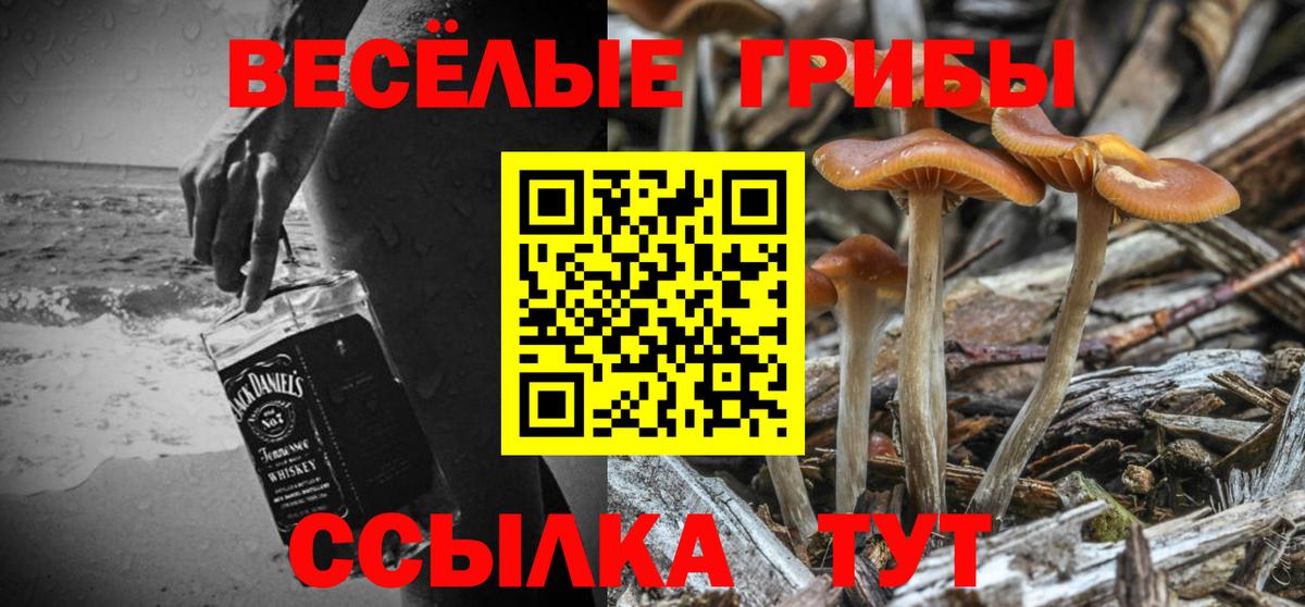 Псилоцибиновые грибы Magic Shrooms  Вход с VPN  Тосно 