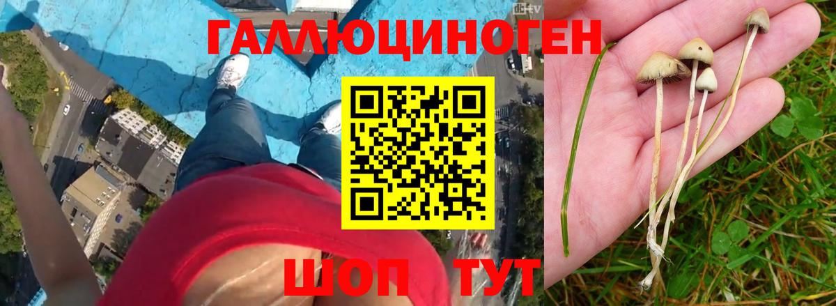 Галлюциногенные грибы GOLDEN TEACHER Тосно